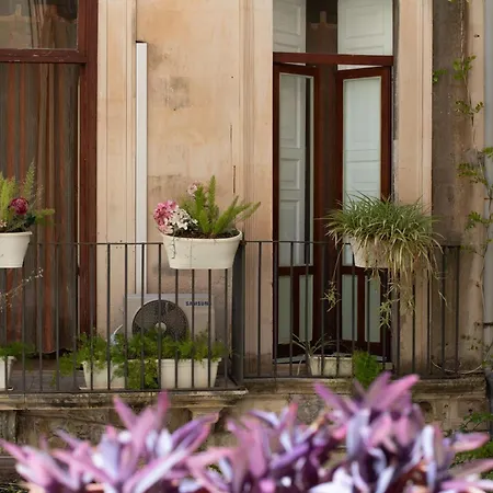 Bed & Breakfast Acropoli 3*