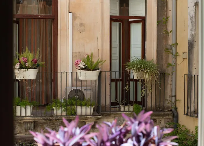 Bed and breakfast Acropoli 3*