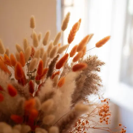 住宿加早餐酒店 Acropoli 3*