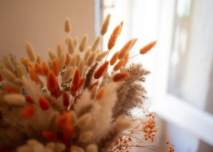 Bed & Breakfast Acropoli 3*